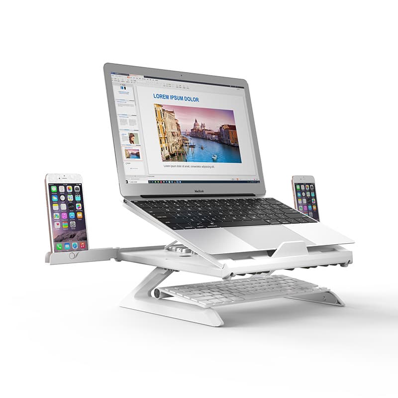 Carbyn Laptop Stand