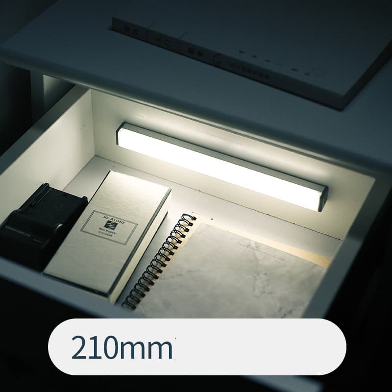Carbyn Motion Light