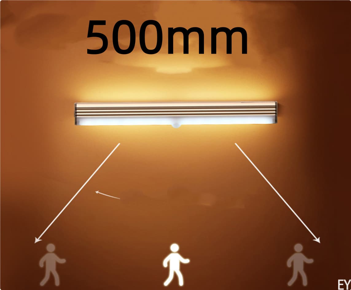 Carbyn Motion Light